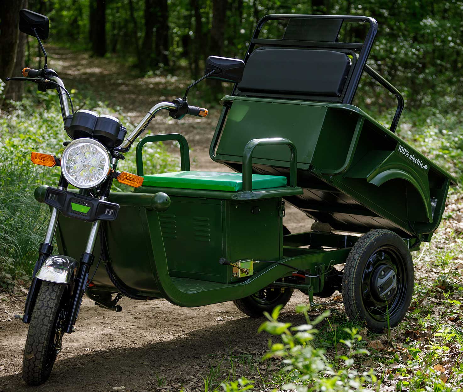 Move Eco Cargo 250 Elektro -Dreirad mit Kippmulde Gruen Seite vorne Links geoeffnet natur