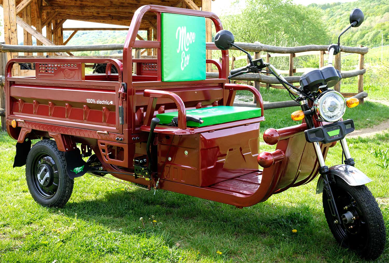 Elektrische Dreirad Cargo 500EEC Gr n EEC 45km h Version Mit Strassen Elektrische Dreirad Cargo 500EEC Gr n EEC 45km h Version Mit Strassen