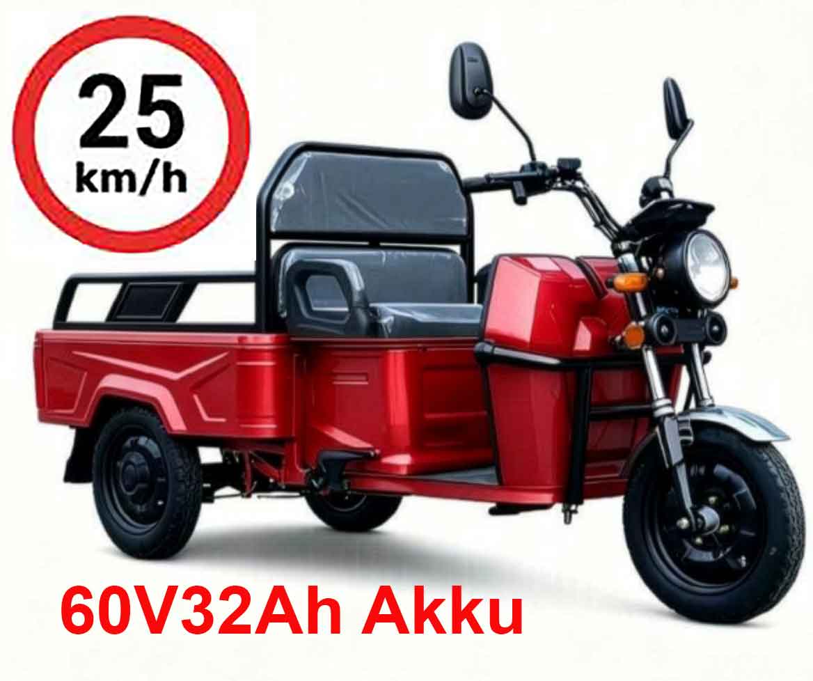 CargoTrike E-Lastendreirad B03 mit Kippmulde 60V32Ah Grün 25km/h Mofa Version CargoTrike