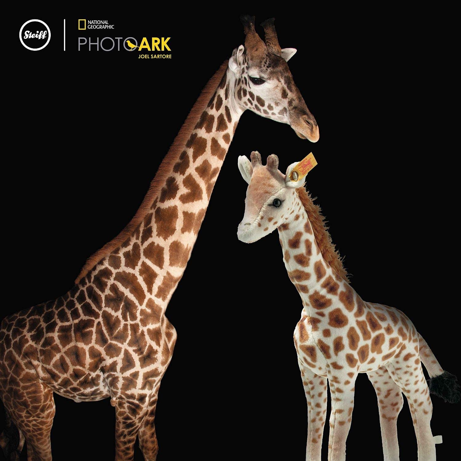 Steiff Kuscheltier Massai Giraffe Magda, National Geographic Wildtier, Süßes Stofftier, Jungen, Mädchen & Babys ab 0 Monaten, Plüschtier, 26 cm, 024412