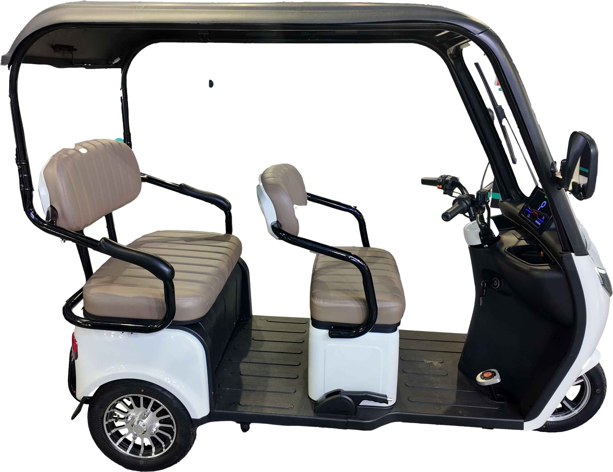 RocknBikes ES3 Elektro-Dreirad Grau Akku 72V53Ah-Lithium 25km/h mit Dach Senioren Roller E-Scooter Roller Akku herausnehmbar
