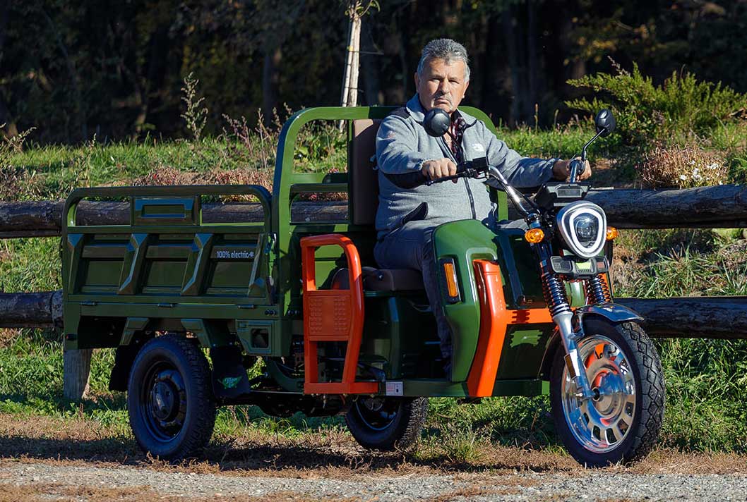 Elektrische Dreirad Cargo 45kmh 500 NC09 Grün EEC 45km/h Version Akku 72V58Ah ca. 60-80km Reichweite