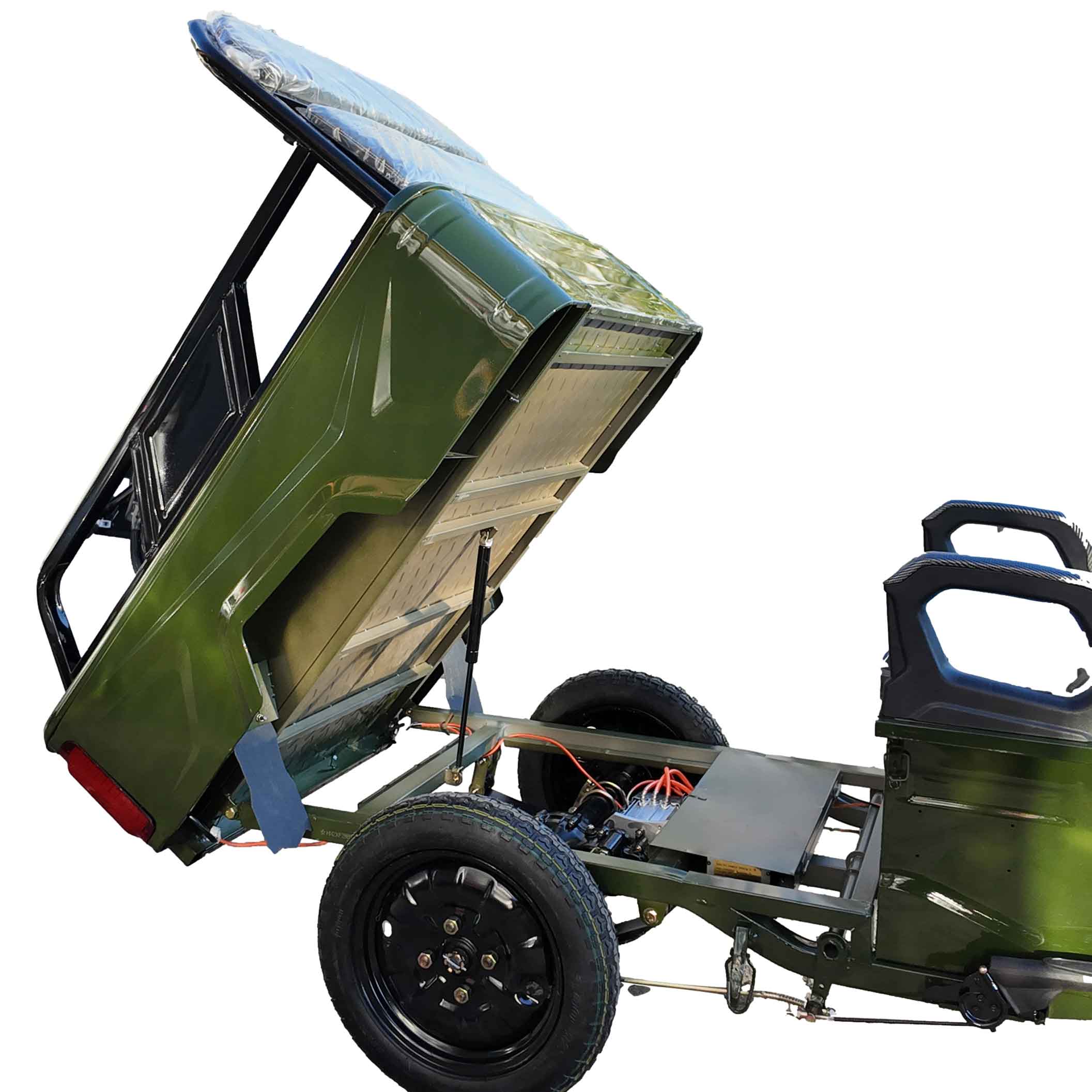 CargoTrike E-Lastendreirad B03 Grün, Silber Grau, Türkis 45km/h Mokick Version Version CargoTrike Straßenzulassung