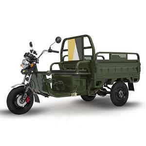 EccoStar C06 Electric Cargo Trike (Green) without Battery – 25 km/h Street-Legal with Tipping Body  – 25 km/h Moped Version – Partially Assembled, Battery Not Included