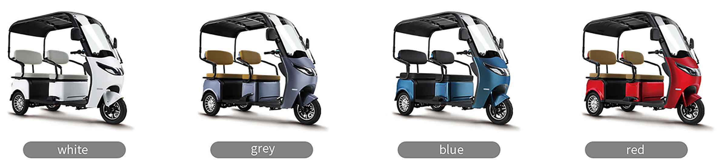RocknBikes ES3 Elektro-Dreirad Grau Akku 72V53Ah-Lithium 25km/h mit Dach Senioren Roller E-Scooter Roller Akku herausnehmbar