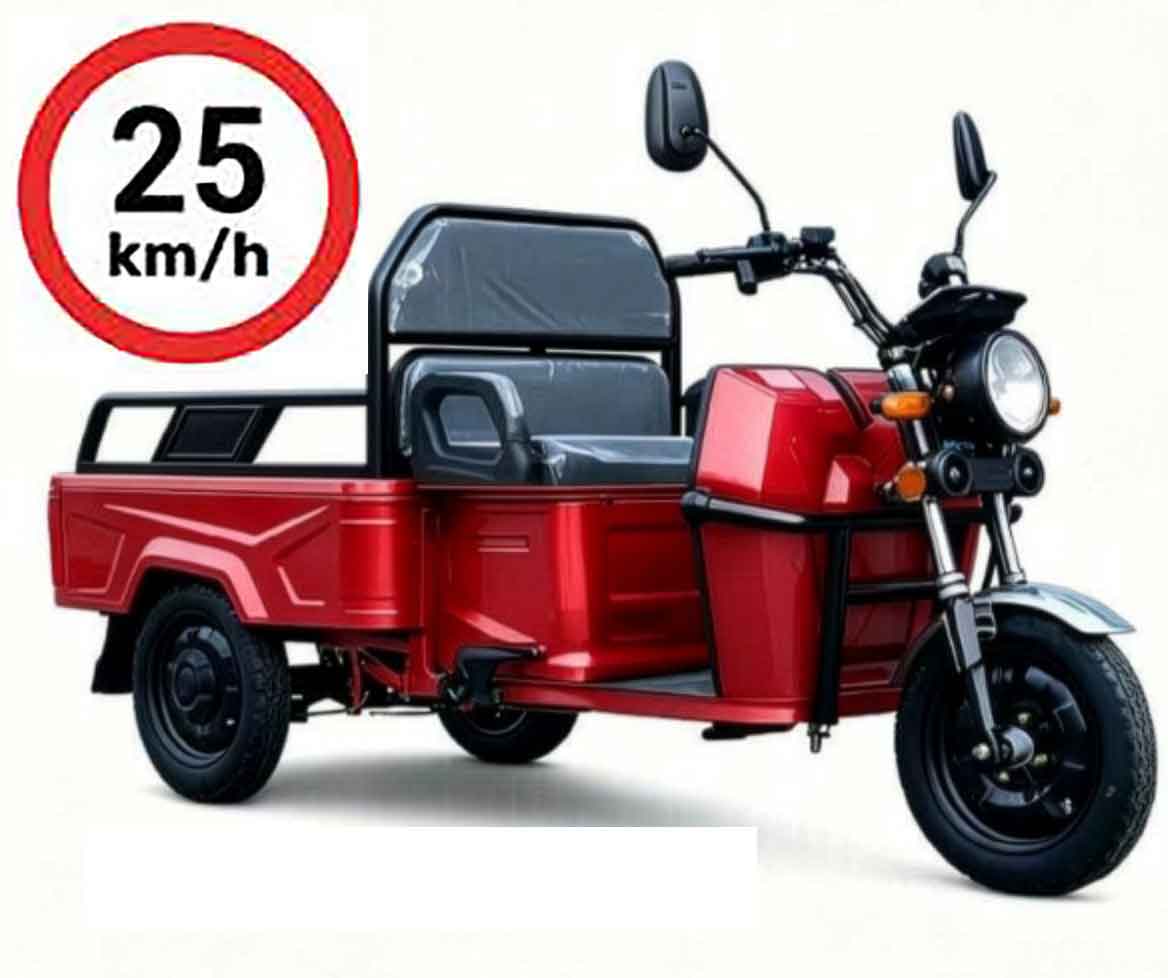 CargoTrike B03 Rot 25km/h Mofa Version E-Lastendreirad Batterie 60V32Ah Zusammengebaut mit Straßenzulassung