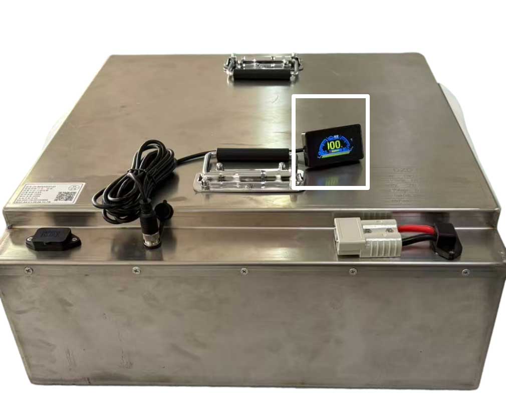 72V100Ah Li-Ionen LiFeP04 Akku  DZD-72100AZF24S1P mit Ladegerät 12Ah