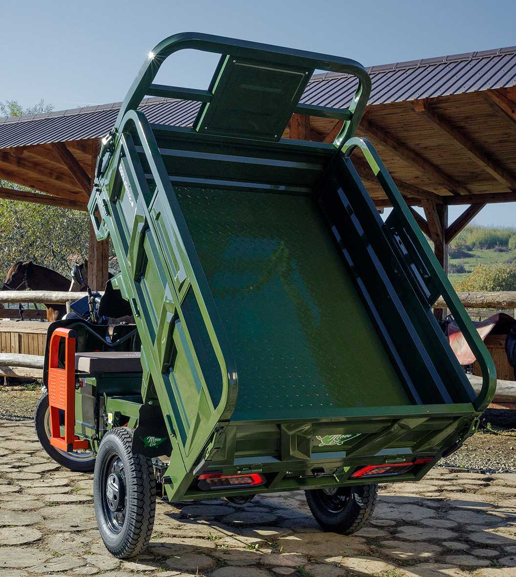 Elektrische Dreirad Cargo 45kmh 500 NC09 Grün EEC 45km/h Version Akku 72V58Ah ca. 60-80km Reichweite