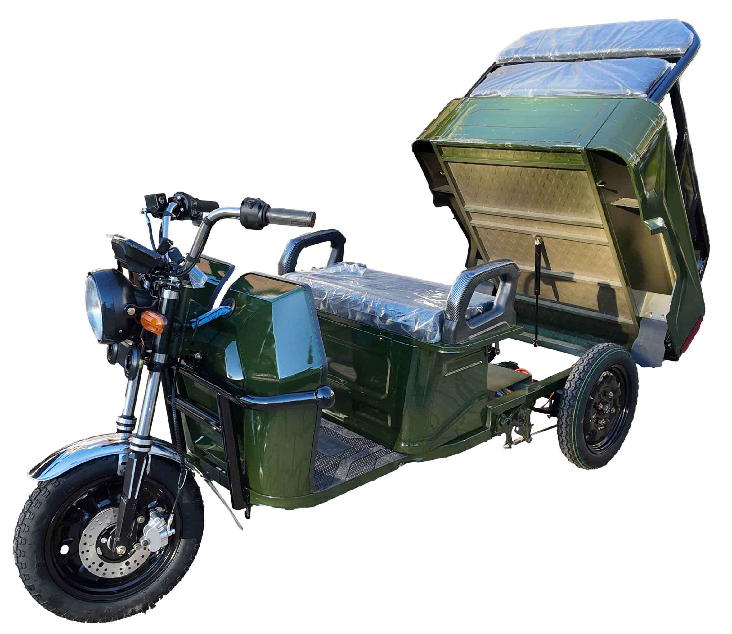 CargoTrike E-Lastendreirad B03 Grün, Silber Grau, Türkis 45km/h Mokick Version Version CargoTrike Straßenzulassung
