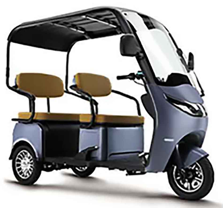 RocknBikes ES3 Elektro-Dreirad Blau 25km/h mit Dach Akku 60V20aH Senioren Roller E-Scooter Roller