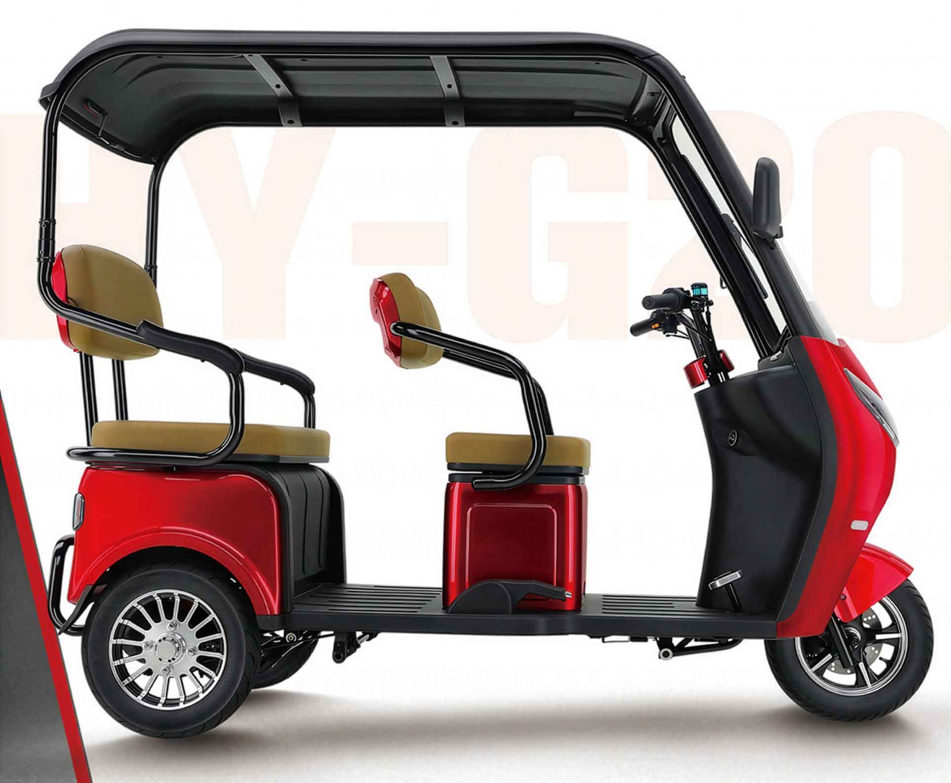 RocknBikes ES3 Elektro-Dreirad Grau Akku 72V53Ah-Lithium 25km/h mit Dach Senioren Roller E-Scooter Roller Akku herausnehmbar